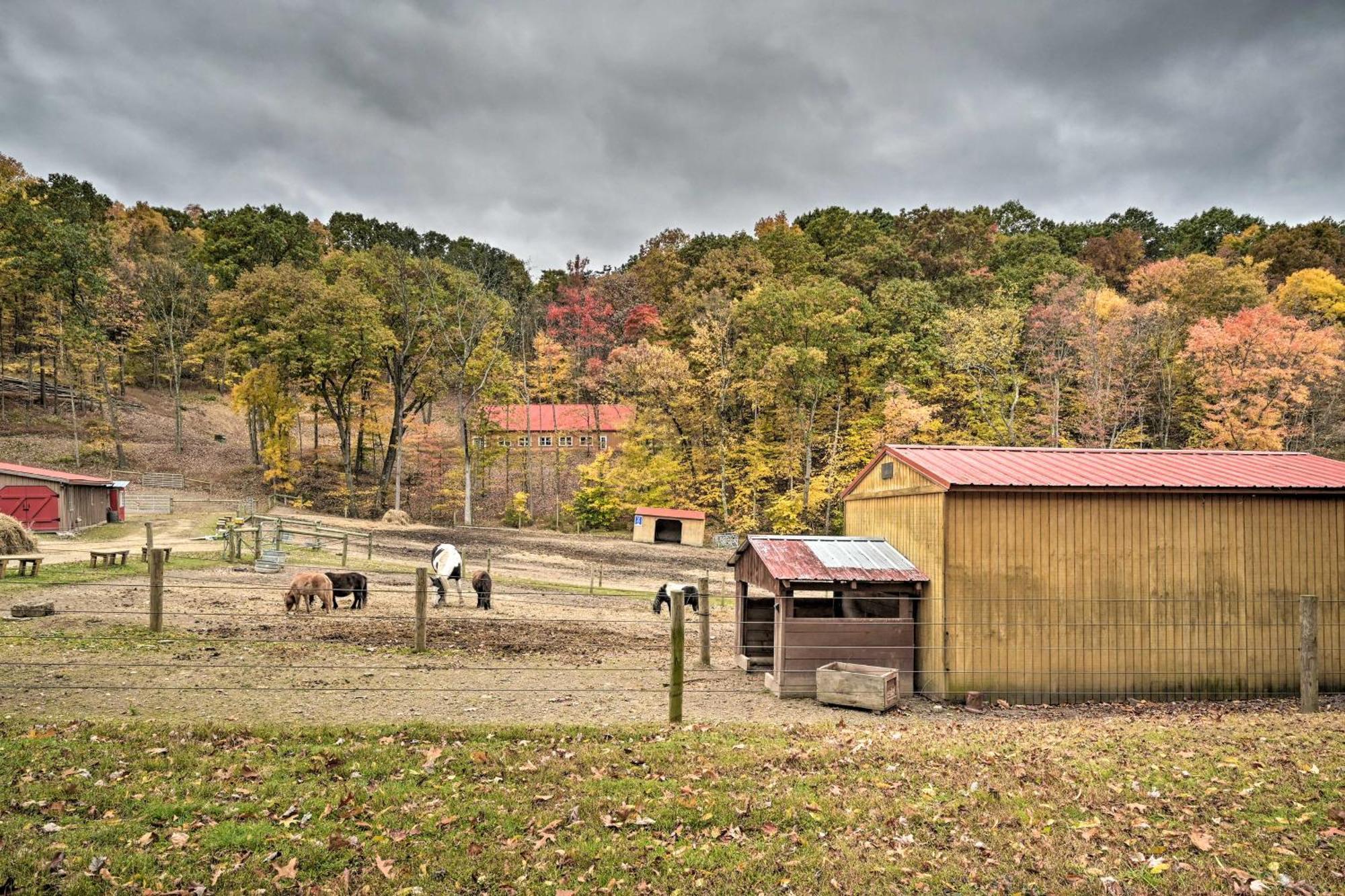 Lone Ranger Cabin With 50 Acres By Raystown Lake Huntingdon Luaran gambar
